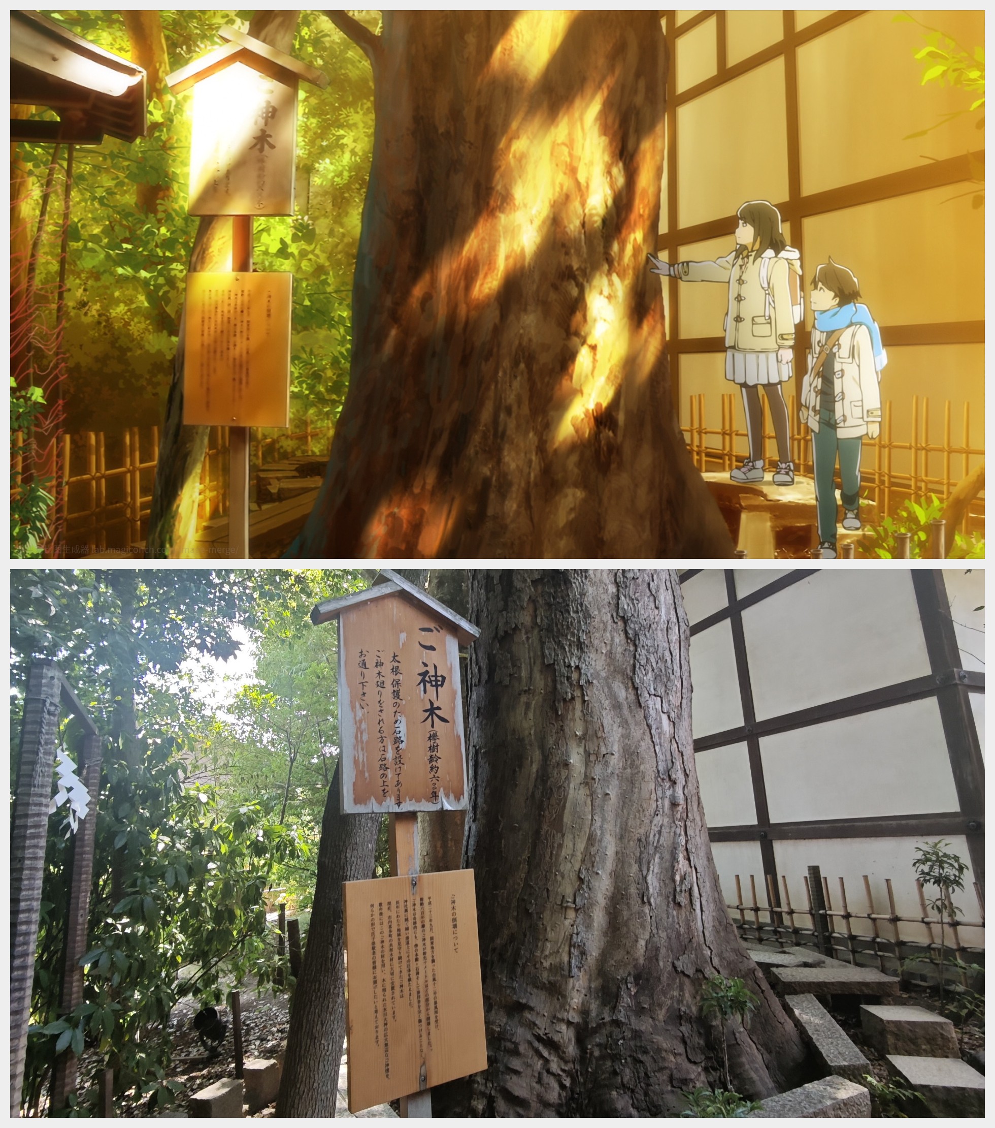 冰川神社神木 第11话