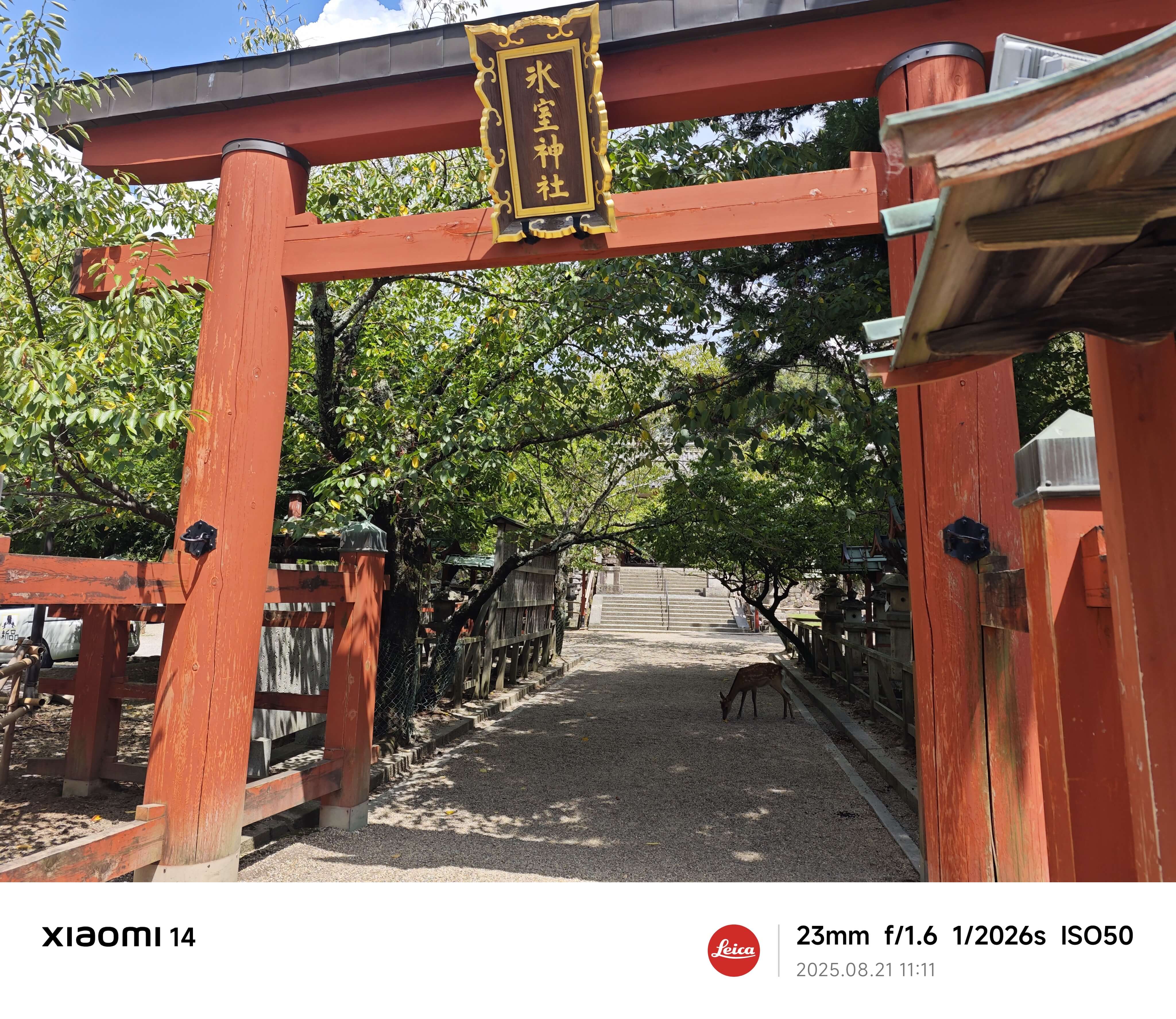 冰室神社