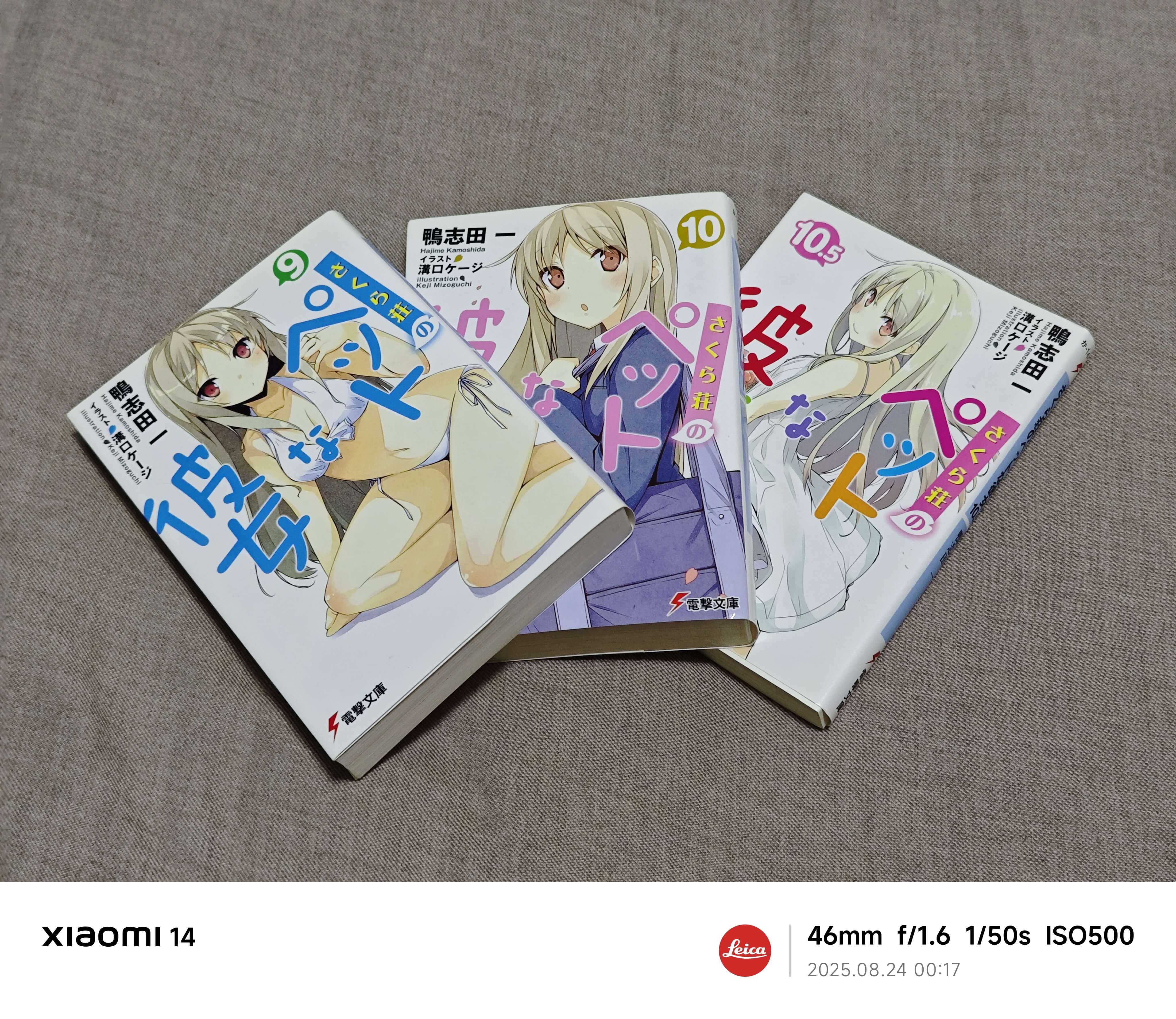 さくら荘のペットな彼女 9&10&10.5